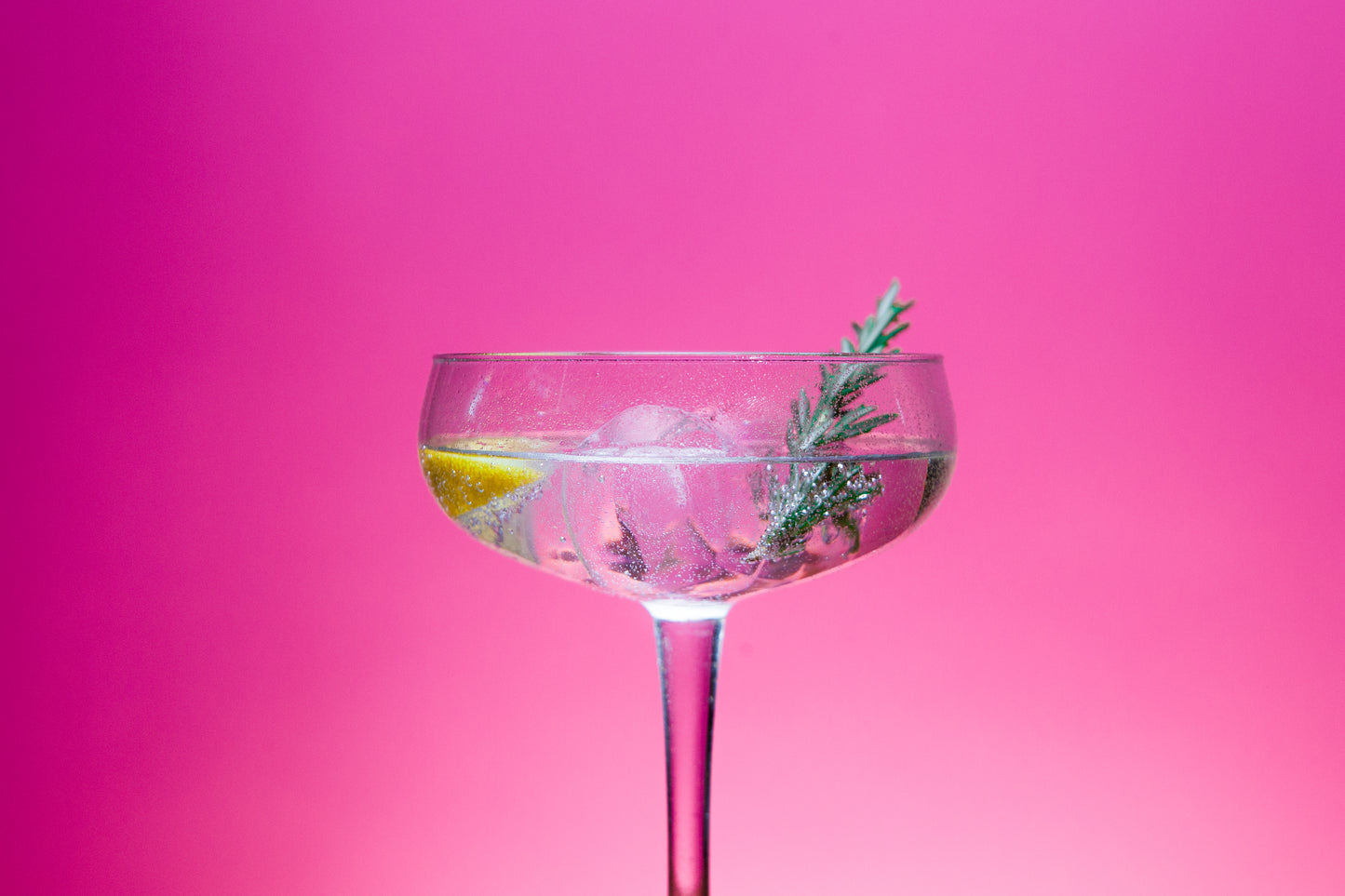 Buddies Gin served with tonic, lemon and herbs