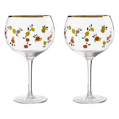 Mila Set of 2 Colourful Gin Glasses